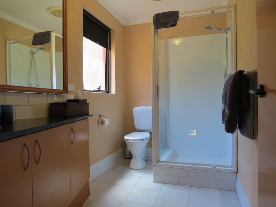 Bathroom is upstairs off the bedroom