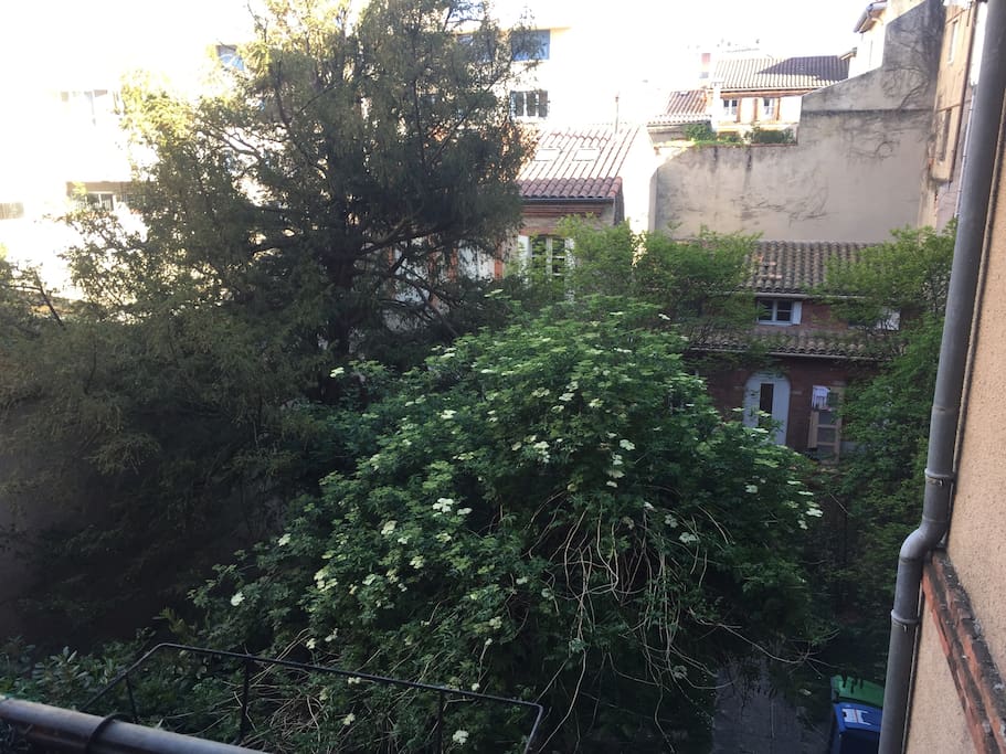 Vue de l'appartement
