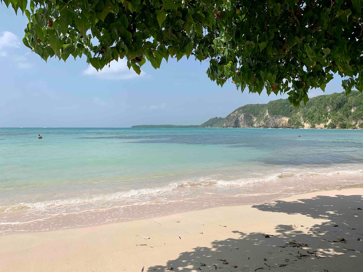 The image showcases a serene beach scene, characterized by soft, sandy shores meeting calm turquoise waters. Overhanging leaves from nearby trees provide shade, while gentle waves can be observed lapping at the shoreline. A distant hilly landscape is partially visible in the background.