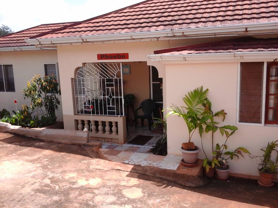 Front view