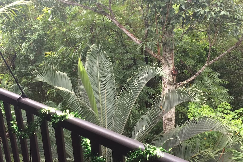 Life in the Treetops - Balcony View