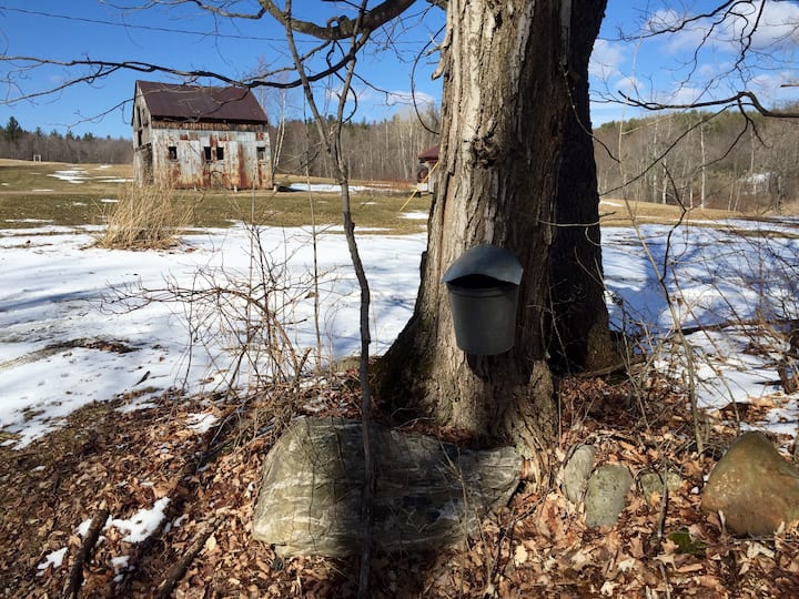 1797 Vt Farm House See the Stars! Houses for Rent in Westford