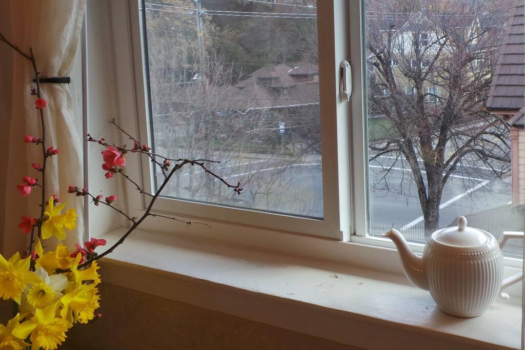 Kitchen View