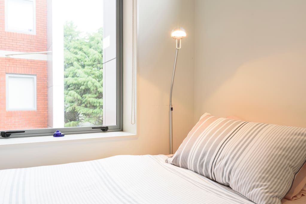 1 King Size Single Bed