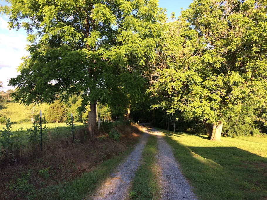 Gravel driveway up to LaLa's Place