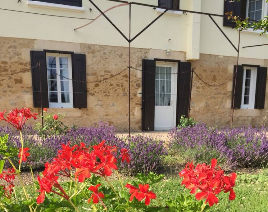 Lavender Garden