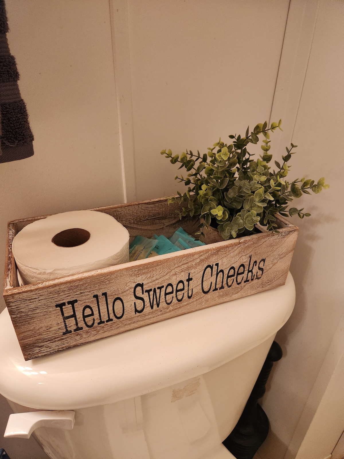 A wooden storage box labeled with text sits on top of a bathroom fixture, containing a roll of toilet paper and several packets. A small, decorative plant adds a touch of greenery to the arrangement.