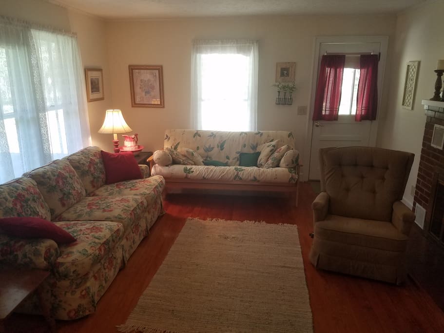 Living room with sofa and futon