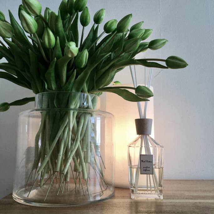 Dutch tulips