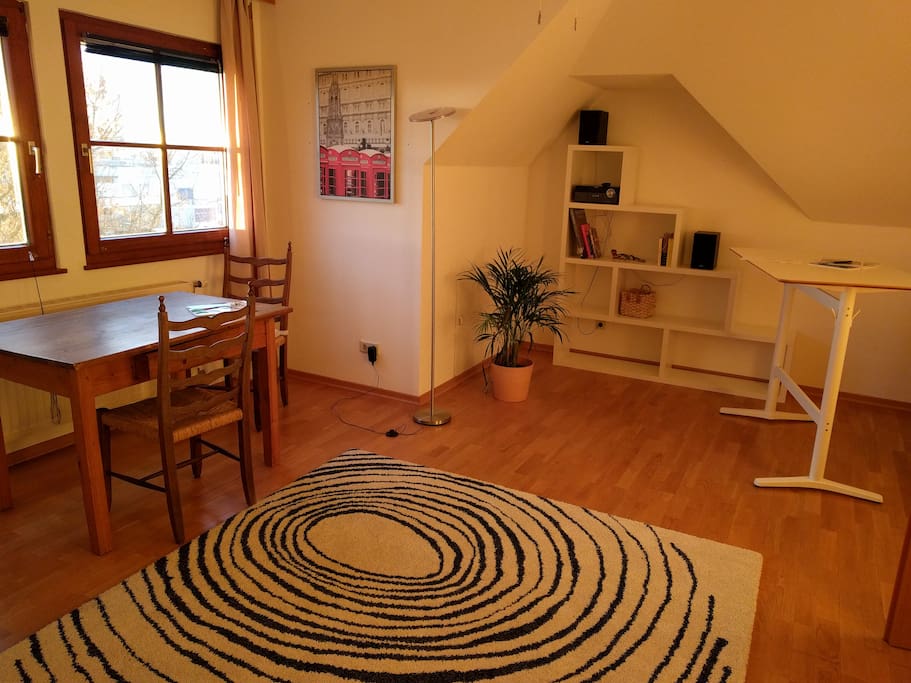 Wohn-Schlafzimmer