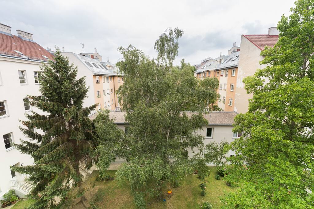 View from the living room