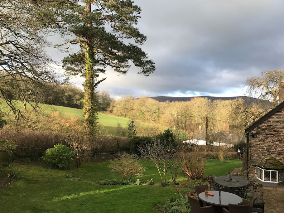 View from inside the garden