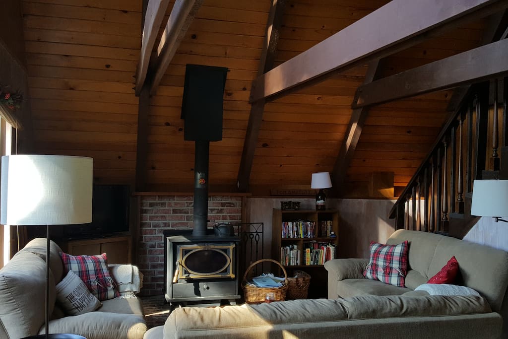 Wood burning fireplace in a comfy living room