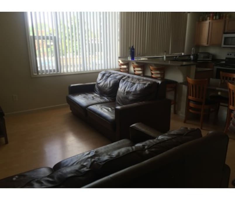 Nice Size Living Room