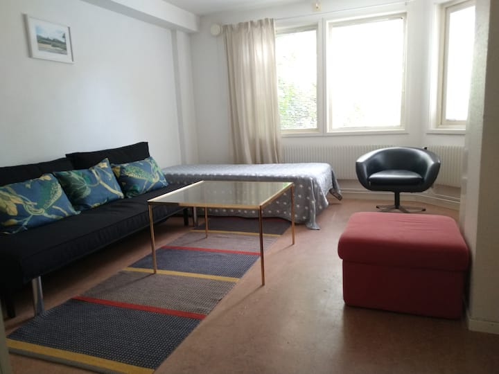 Downtown accommodation for 3 - 4 persons. Private kitchenette