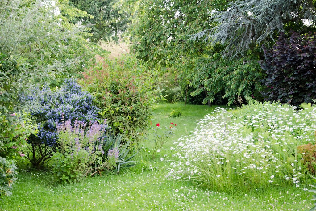 Jardin partagé