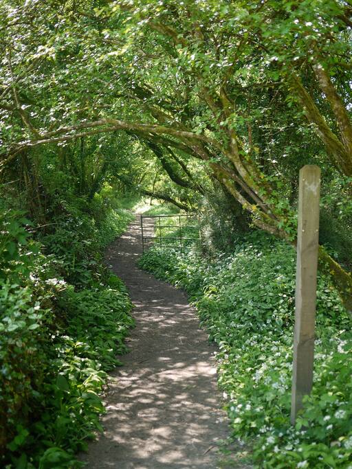 Foot path to Rattery.