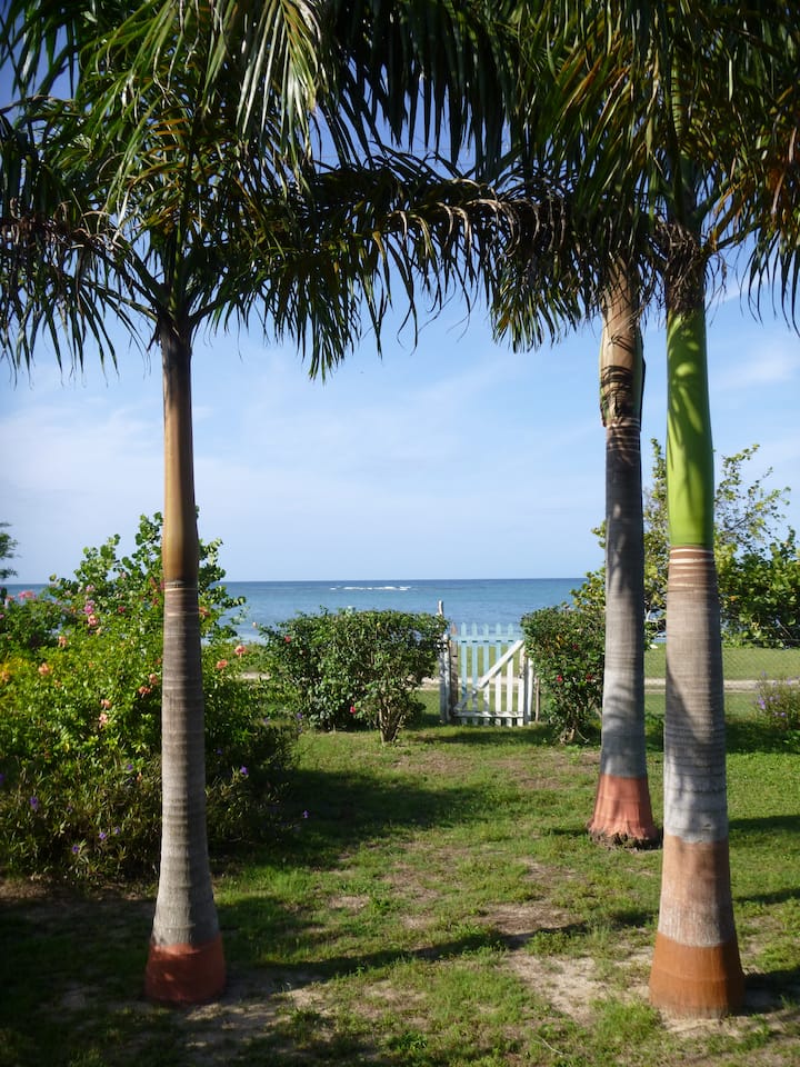 Little Bay Beach House Cottages for Rent in Little Bay, Westmoreland