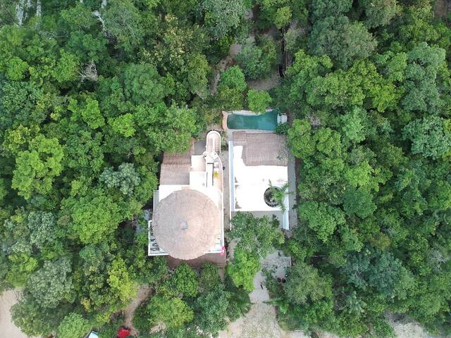 Jungle Suite w/ Kitchenette, A/C & Pool