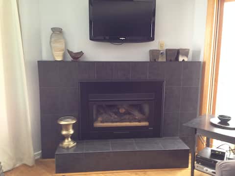Top performing Airbnb: Mountain Gem Fireside Ski Retreat in Snowmass Village