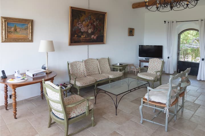 Salon, écran plat, accès au jardin et à la piscine