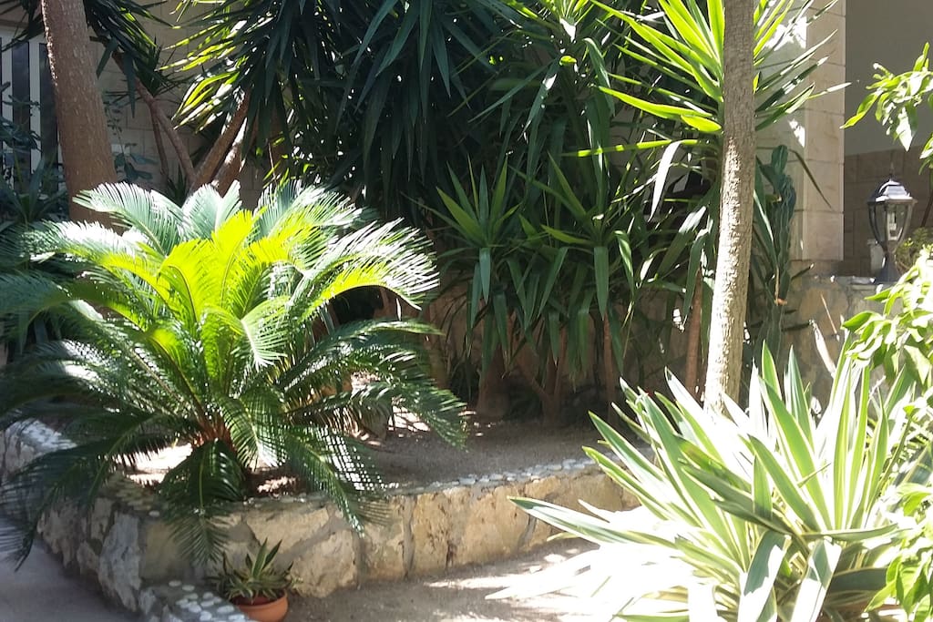 garden
