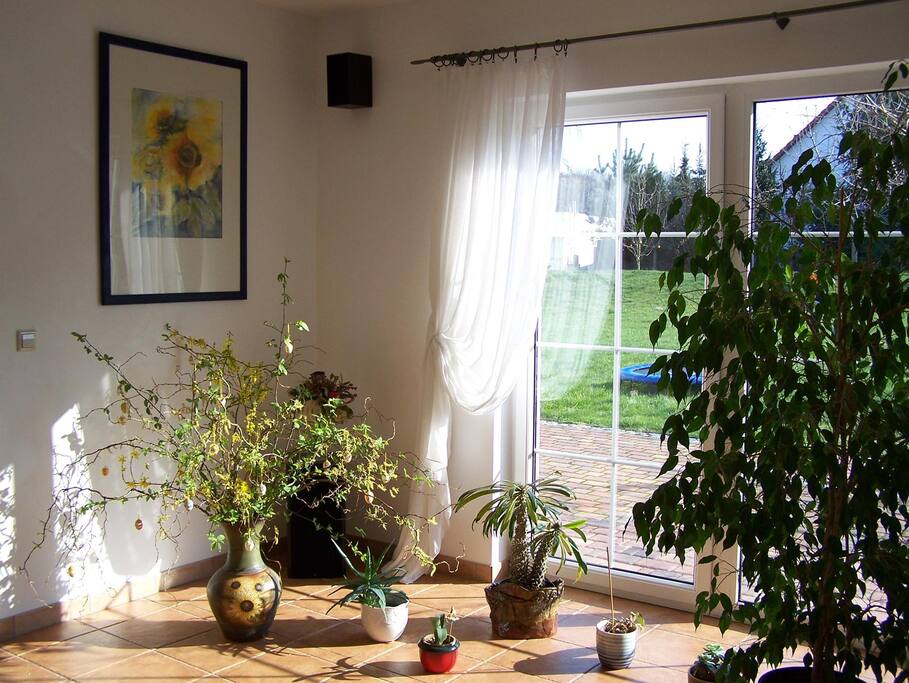Blick von der Stube zur Terasse