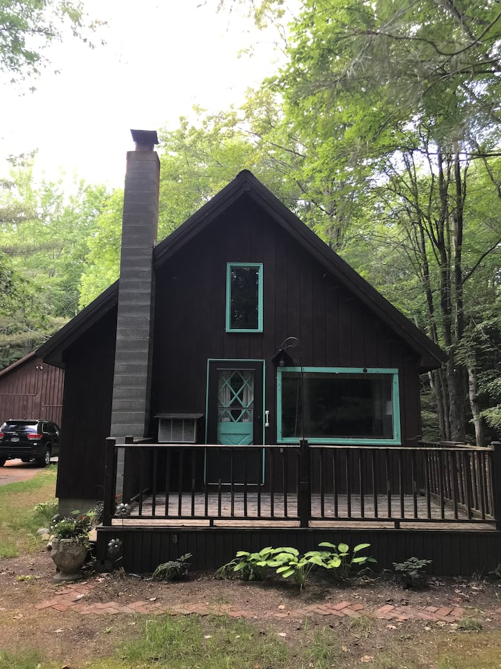 Cabin at The Diggins Cabins for Rent in Carp Lake, Michigan, United