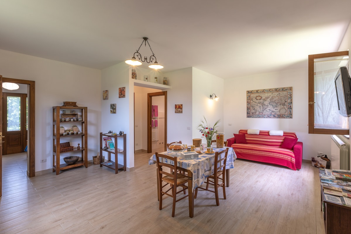 Top performing Airbnb: Podere San Bendetto in Sorano