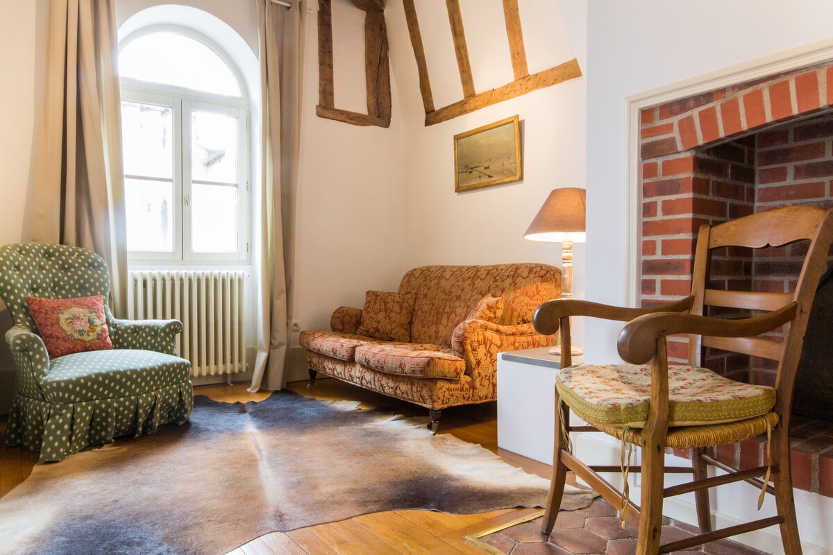Top Airbnb: Les Bons Enfants in Dijon in Centre Ville
