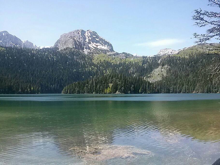 Black lakes