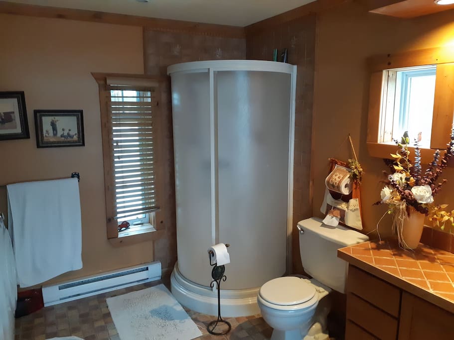 salle de bain principale vue douche...