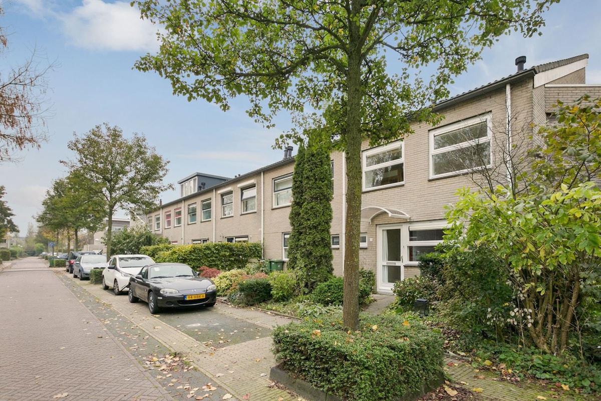 A row of houses is viewed from the street, featuring a blend of greenery and paved pathways. Tall trees and shrubbery line the sidewalks, while parked vehicles are visible along the curb. A sense of quiet residential life is conveyed in this inviting setting.