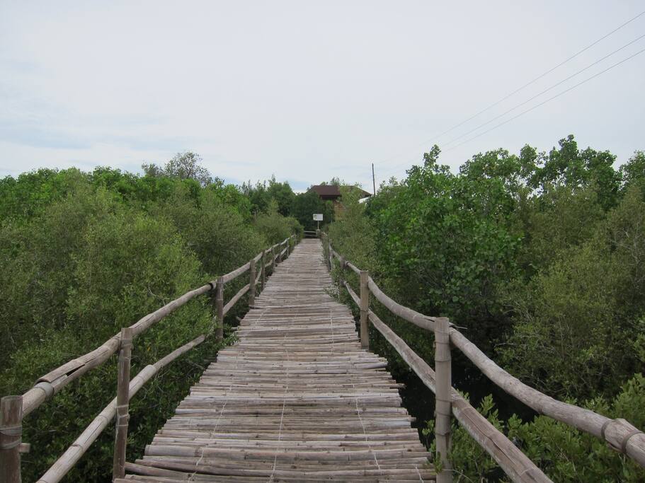 On the Boardwalk approaching the resort