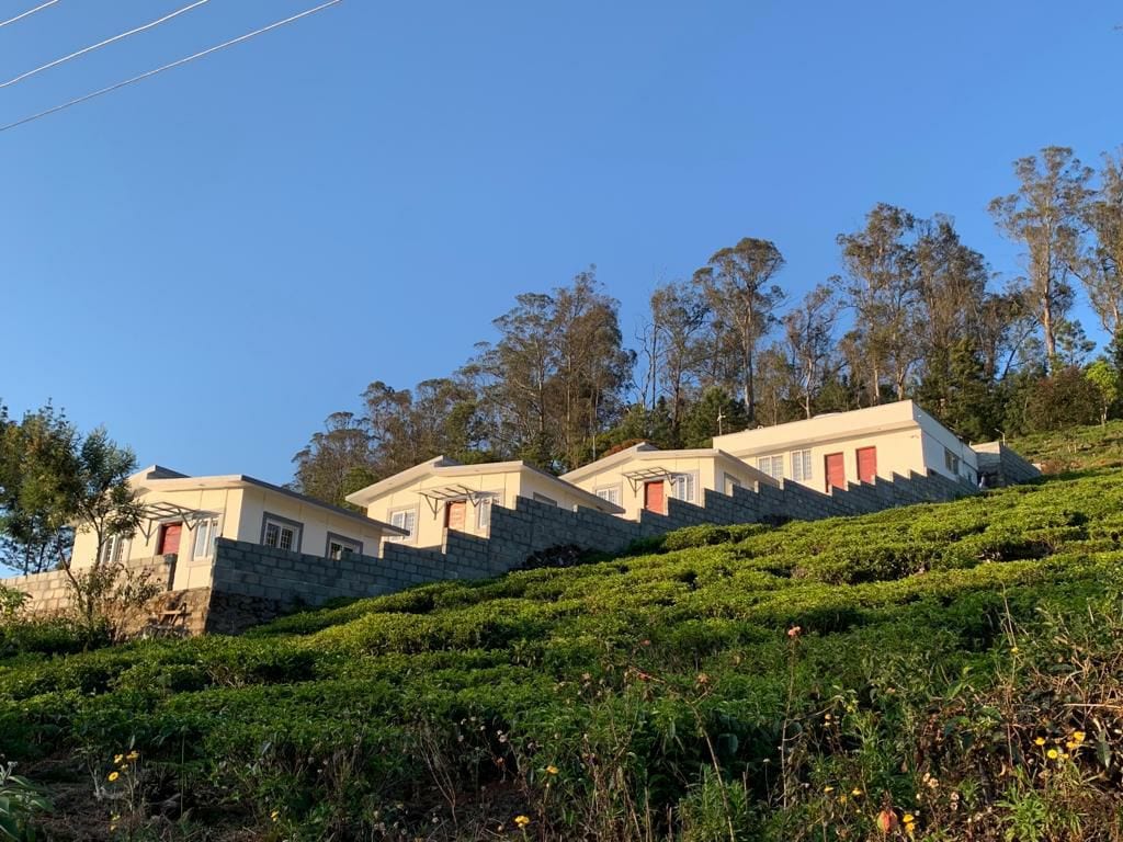 A row of white cottages is positioned on a hillside, surrounded by lush green tea bushes. The structures feature red doors and are set against a clear blue sky, with tall trees visible in the background.
