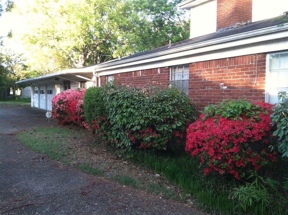 Side azaleas & 3-car garage; first garage door closest to azaleas will be your parking slot
