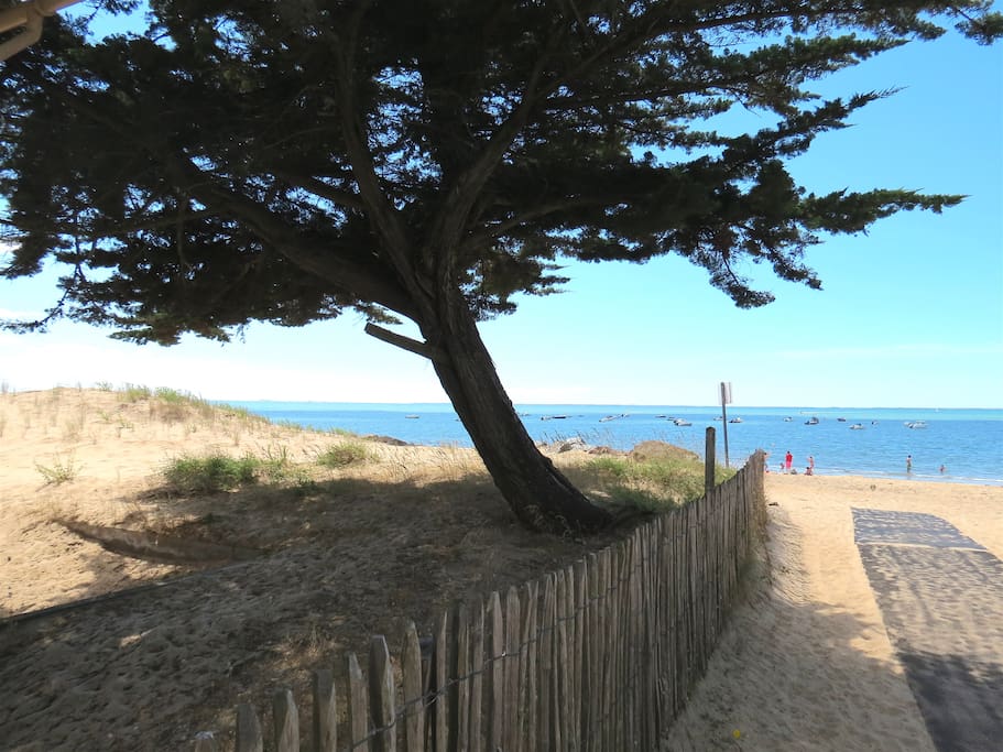 Agréable plage à 100m plein sud