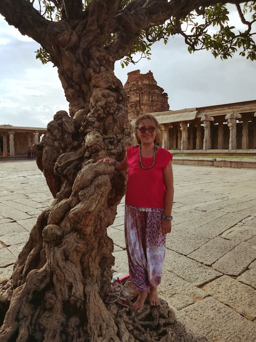 L'hôte Béatrice, professeur agrée de yoga, est à votre écoute pour des conseils ou organiser des séances de yoga