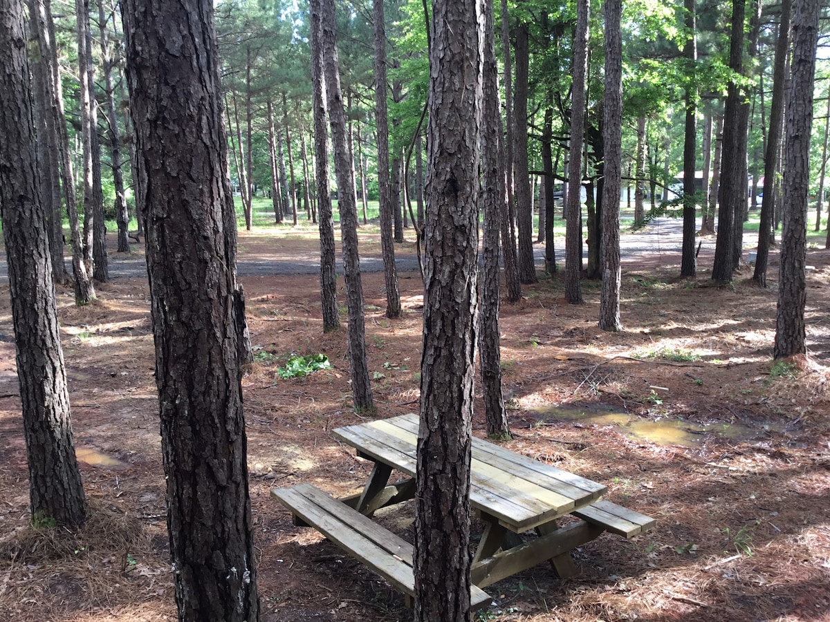 A shaded picnic area is presented among tall pine trees. A wooden picnic table is visible on a carpet of pine needles, surrounded by a serene woodland setting. Natural light filters through the trees, creating a calm and inviting space for outdoor dining.