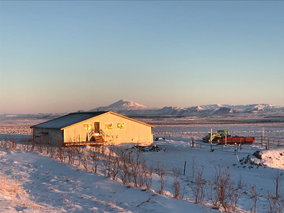 Stables in Kaldakinn, with volcano Hekla in the background. The Guesthouse is very close, also with wonderful view