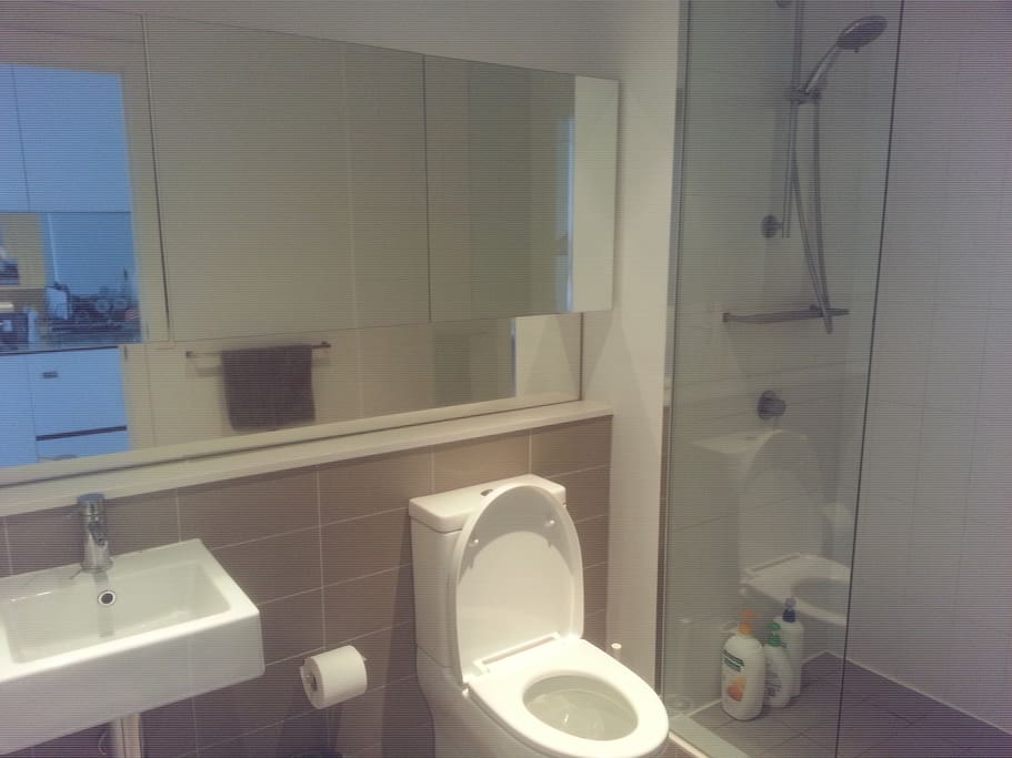 Private modern Bathroom