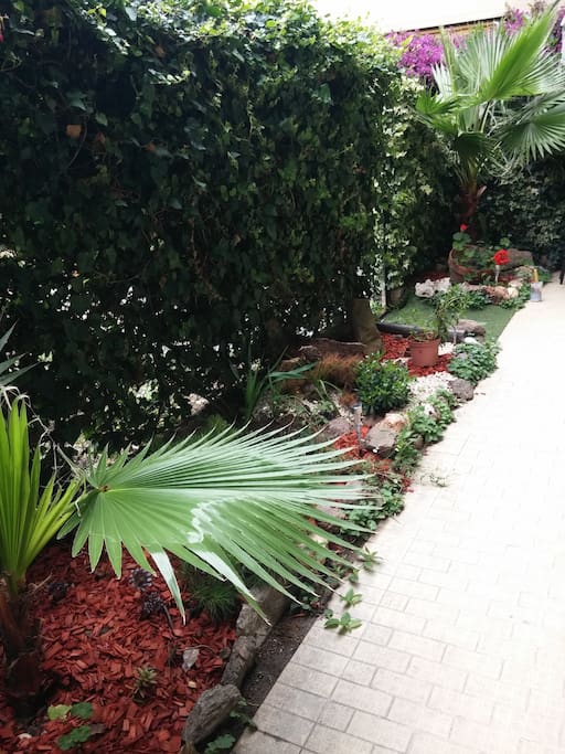 Le jardinet devant la terrasse