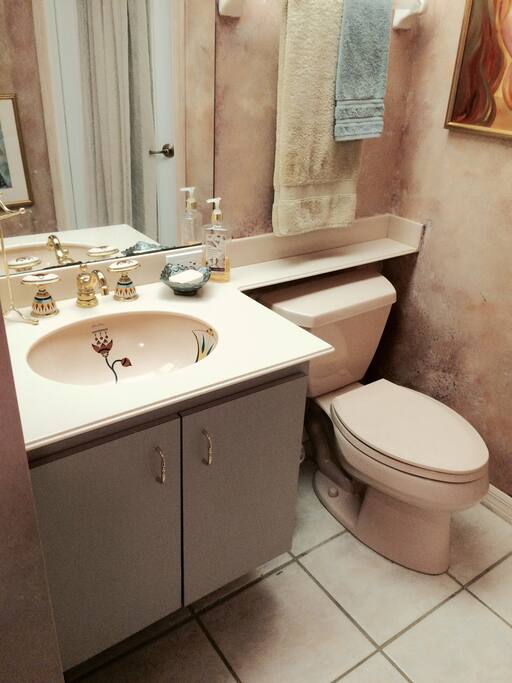 Guest Bath/Shower