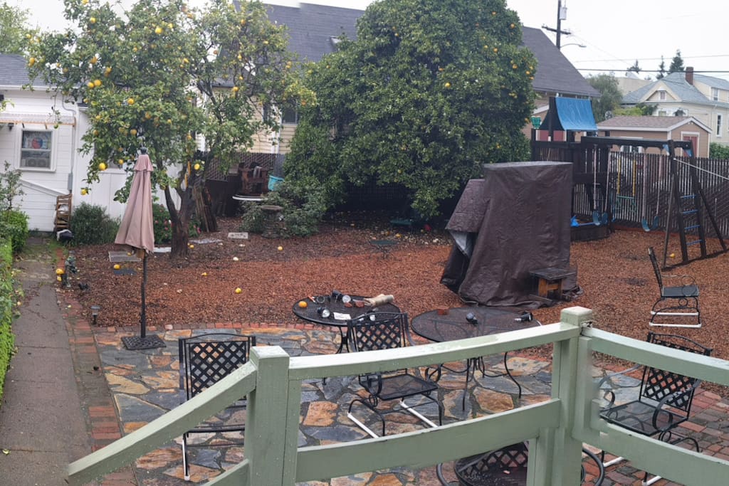 The backyard: patio, climbing structure, sandbox, citrus trees