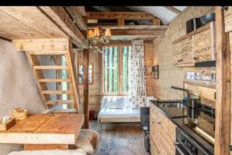 Swiss Alps Duplex Studio near Gstaad