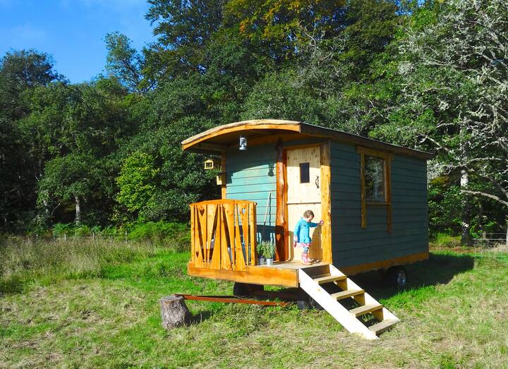 Glen Nevis Vacation Rentals & Homes Fort William, United Kingdom Airbnb