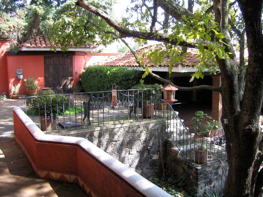 una ardilla en el árbol