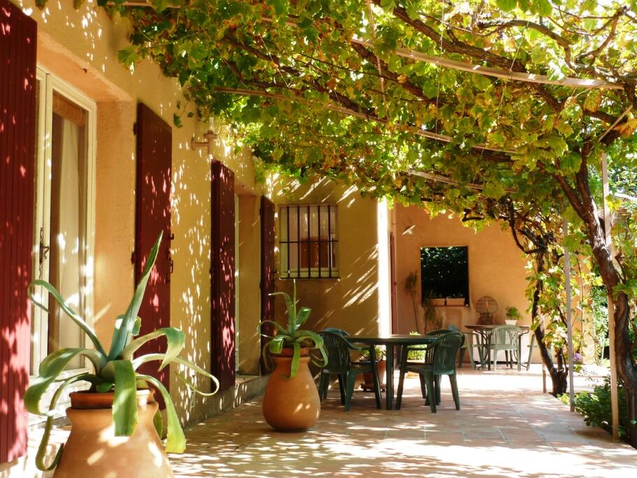 La pergola sous les treilles