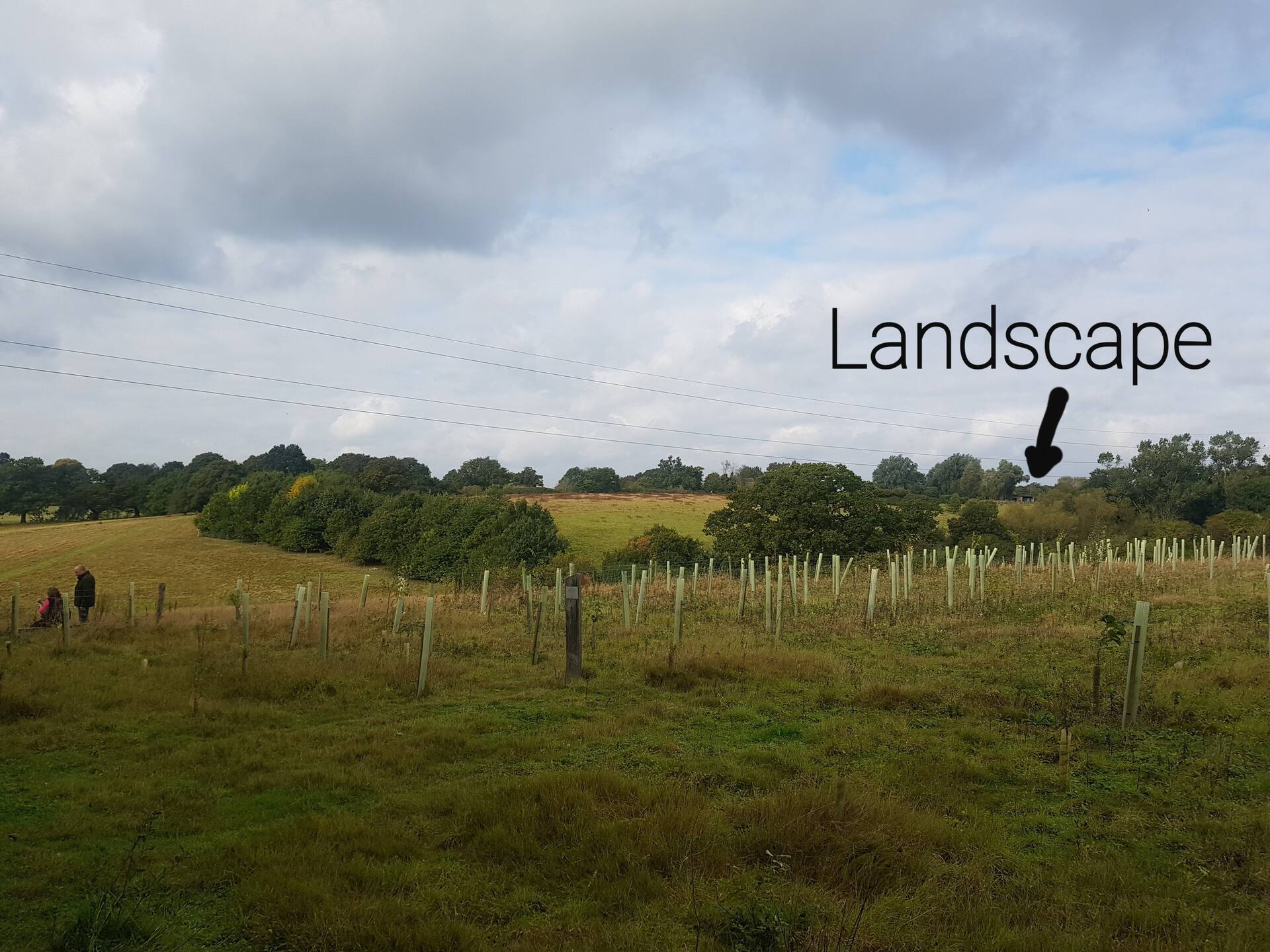 Landscape, New Eco Lodge Flatford Mill — photo 5