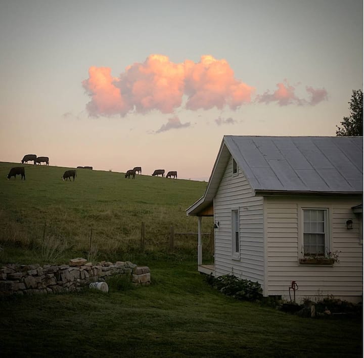 10 Best Airbnb Vacation Rentals In Shenandoah Valley, Virginia